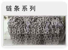 斗式提升机链条